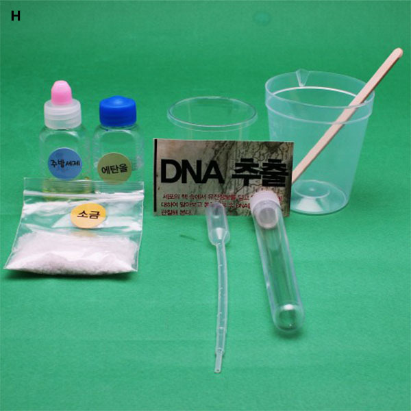 DNA추출만들기 10인세트